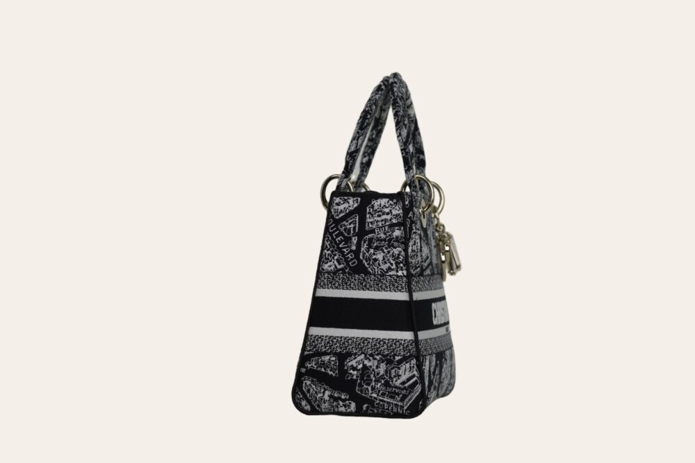 DIOR D'LITE PLAN DE PARIS EMBROIDERY MEDIUM - Image 3