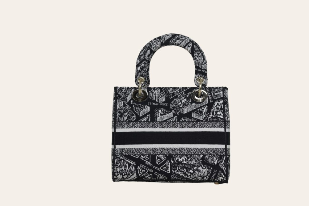 DIOR D'LITE PLAN DE PARIS EMBROIDERY MEDIUM - Image 4