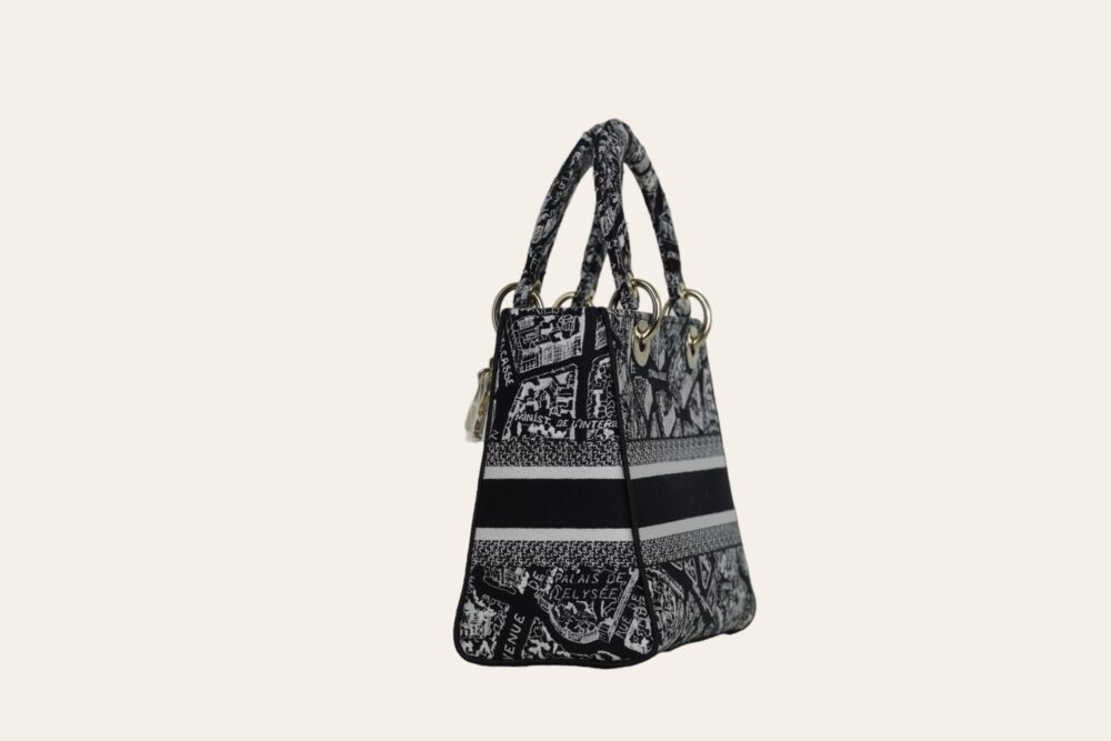 DIOR D'LITE PLAN DE PARIS EMBROIDERY MEDIUM - Image 5