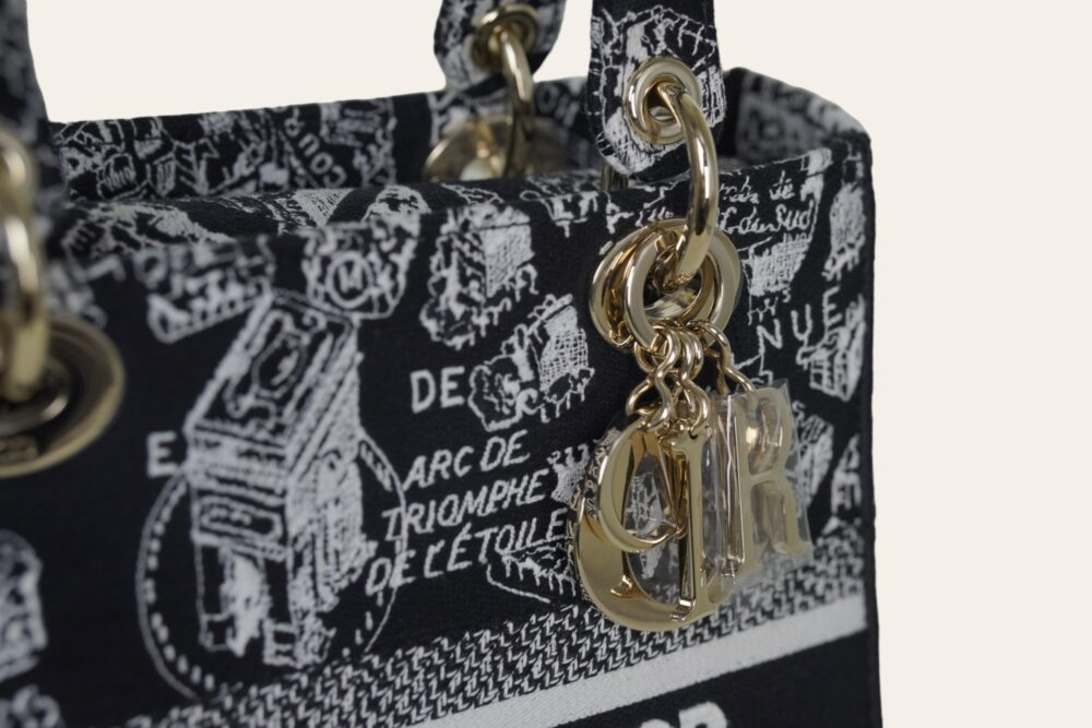 DIOR D'LITE PLAN DE PARIS EMBROIDERY MEDIUM - Image 8