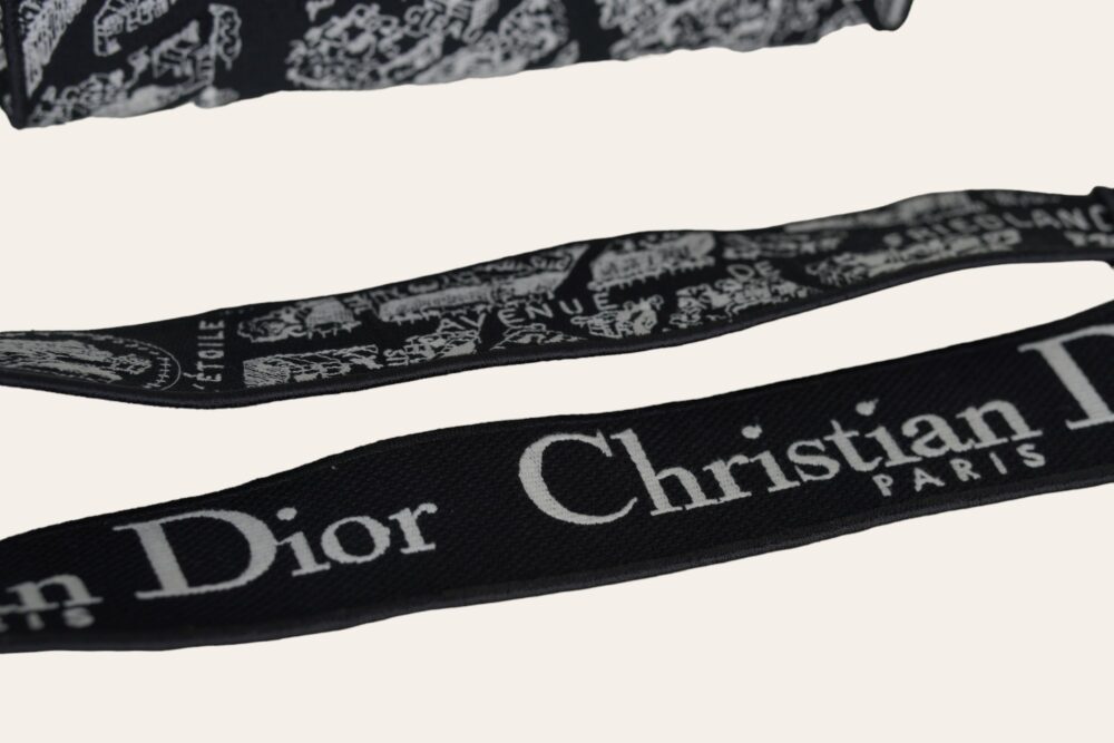 DIOR D'LITE PLAN DE PARIS EMBROIDERY MEDIUM - Image 9