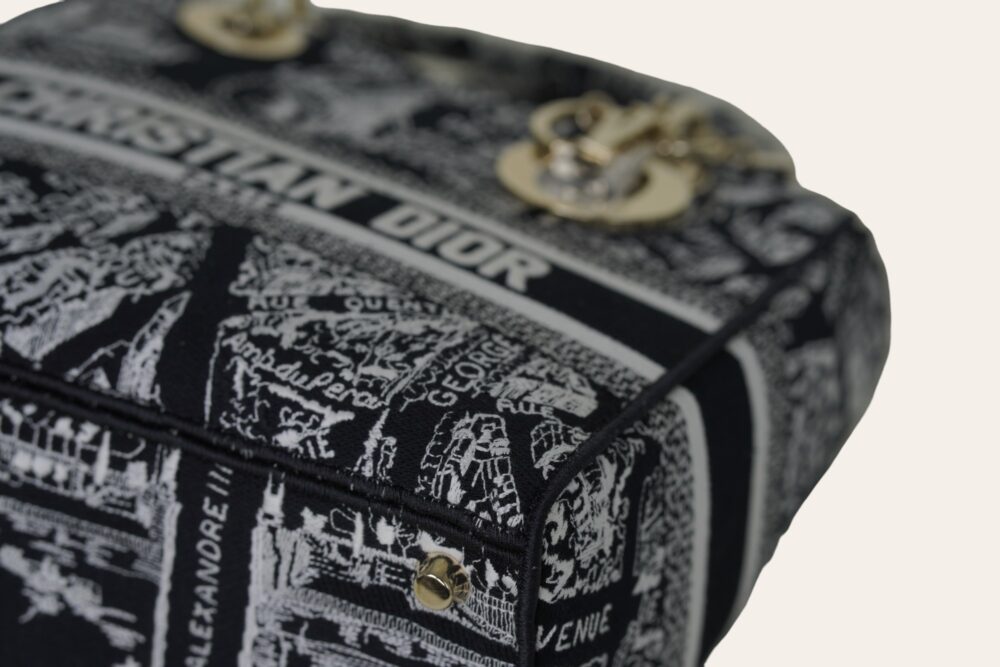 DIOR D'LITE PLAN DE PARIS EMBROIDERY MEDIUM - Image 11