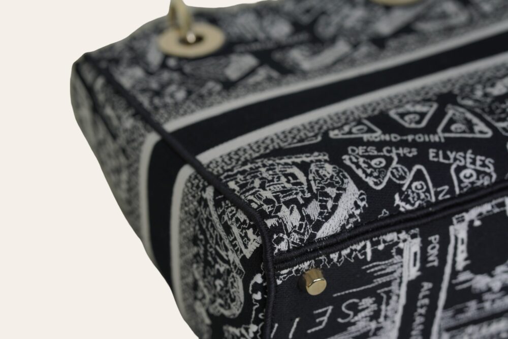 DIOR D'LITE PLAN DE PARIS EMBROIDERY MEDIUM - Image 12