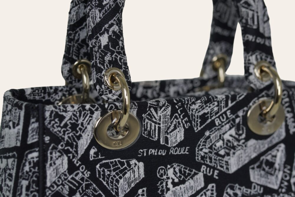 DIOR D'LITE PLAN DE PARIS EMBROIDERY MEDIUM - Image 14