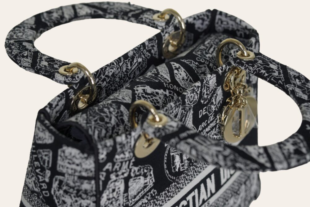 DIOR D'LITE PLAN DE PARIS EMBROIDERY MEDIUM - Image 15
