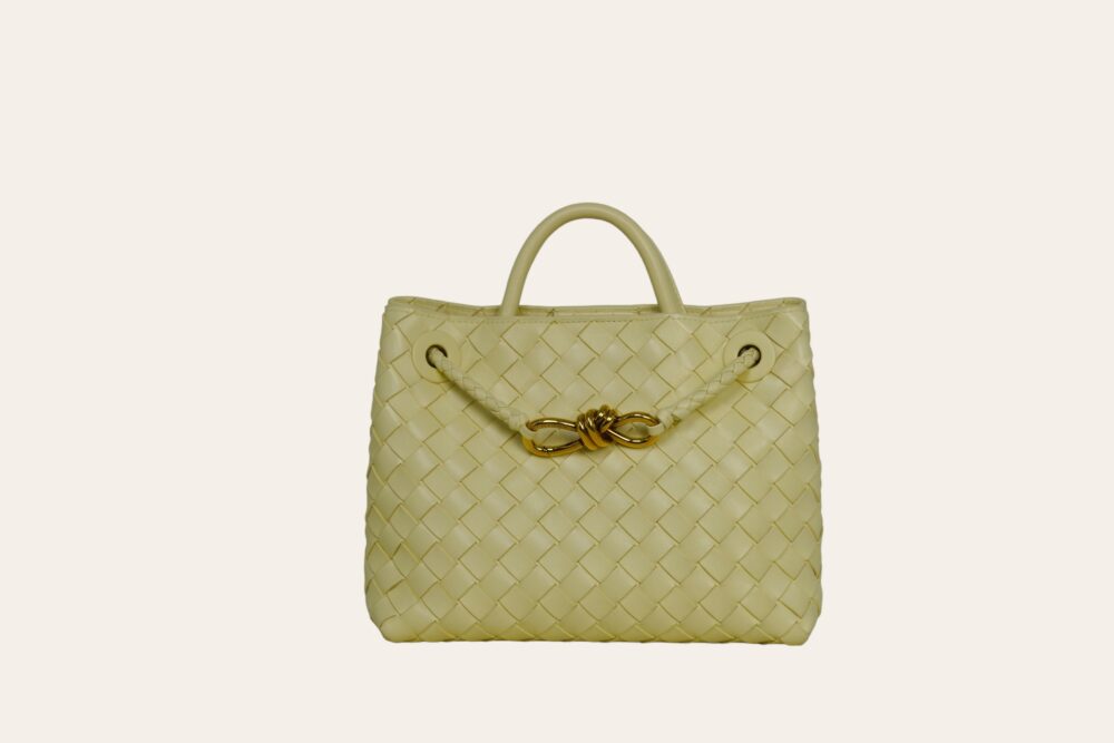 BOTTEGA VENETA ANDIAMO SMALL