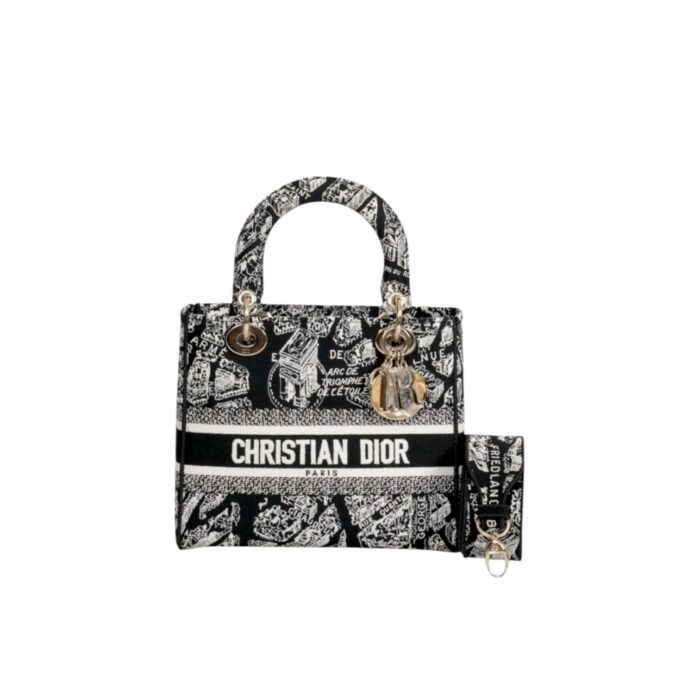 DIOR D'LITE PLAN DE PARIS EMBROIDERY MEDIUM