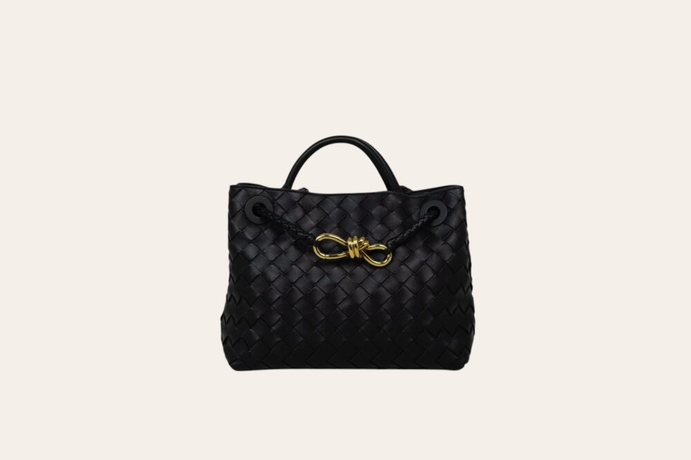 BOTTEGA VENETA ANDIAMO SMALL