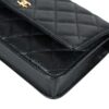 WALLET ON CHAIN rear view showing back panel