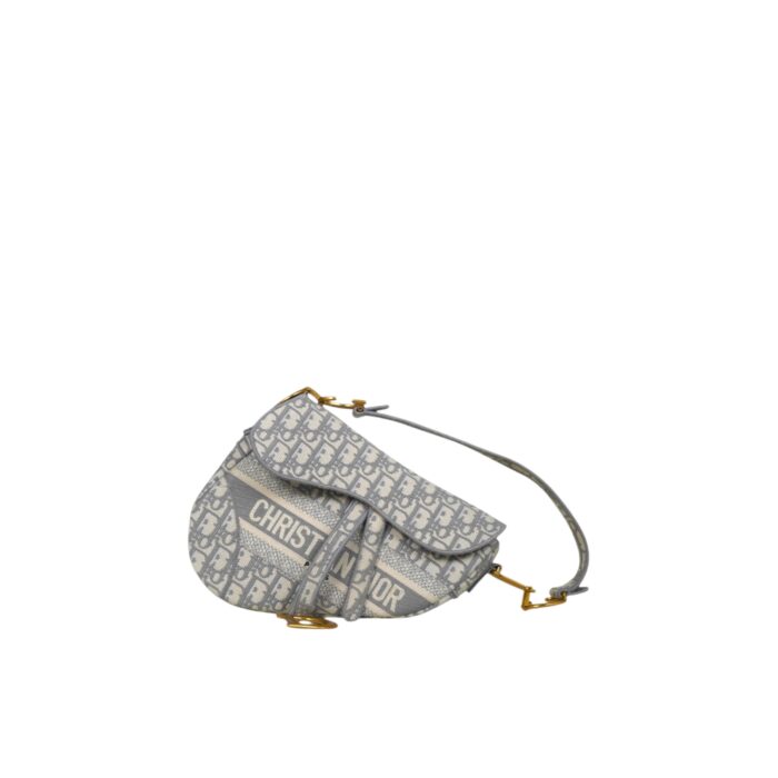 DIOR SADDLE OBLIQUE