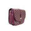 GOYARD BELVEDERE PM flat lay front view