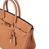 HERMES BIRKIN 25 side profile view