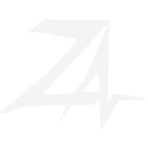 Zeko Logo White